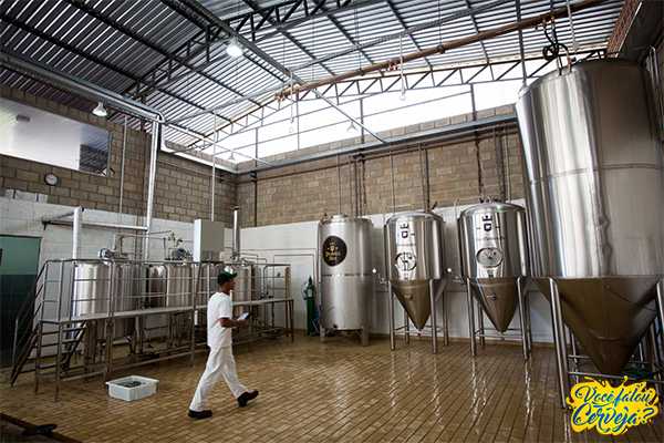 Cervejarias investem no turismo de experiência e abrem suas portas para visitação