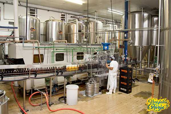 Leia mais sobre o artigo Cervejarias investem no turismo de experiência e abrem suas portas para visitação