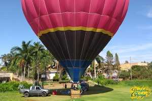 Leia mais sobre o artigo Festival Junglebier apresenta edição especial Jungle no Balão