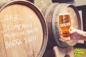Leia mais sobre o artigo Cerveja Blumenau terá primeiro concurso para cervejeiros caseiros