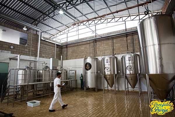 Leia mais sobre o artigo Cervejas personalizadas dão toque especial nos eventos