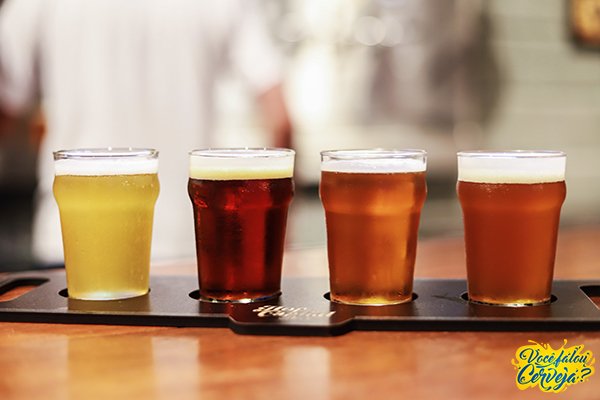 Leia mais sobre o artigo Ceará aprova liberação de bebidas alcoólicas em estádios de futebol