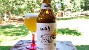 Leia mais sobre o artigo Wäls lança Pequi do Norte, a primeira cerveja produzida com o fruto típico