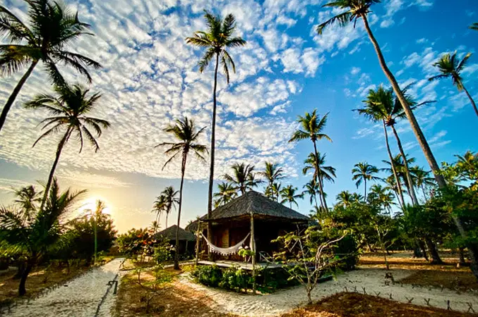 Leia mais sobre o artigo Cerveja Corona paga uma diária de sua hospedagem