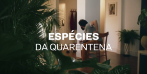 Leia mais sobre o artigo Amstel brinca com “espécies da quarentena” em nova campanha