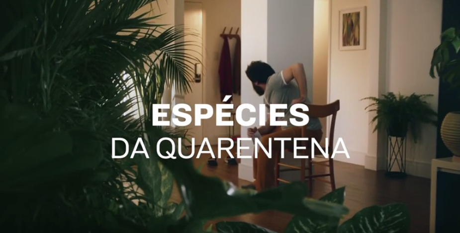 No momento, você está visualizando Amstel brinca com “espécies da quarentena” em nova campanha
