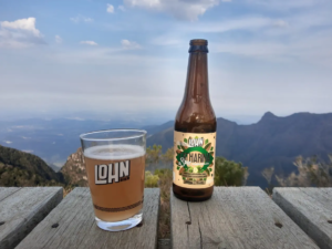 Leia mais sobre o artigo Lohn Bier lança Catharina Sour de Feijoa