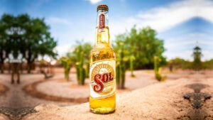 Leia mais sobre o artigo Cerveja Sol passa a ser produzida por energia solar