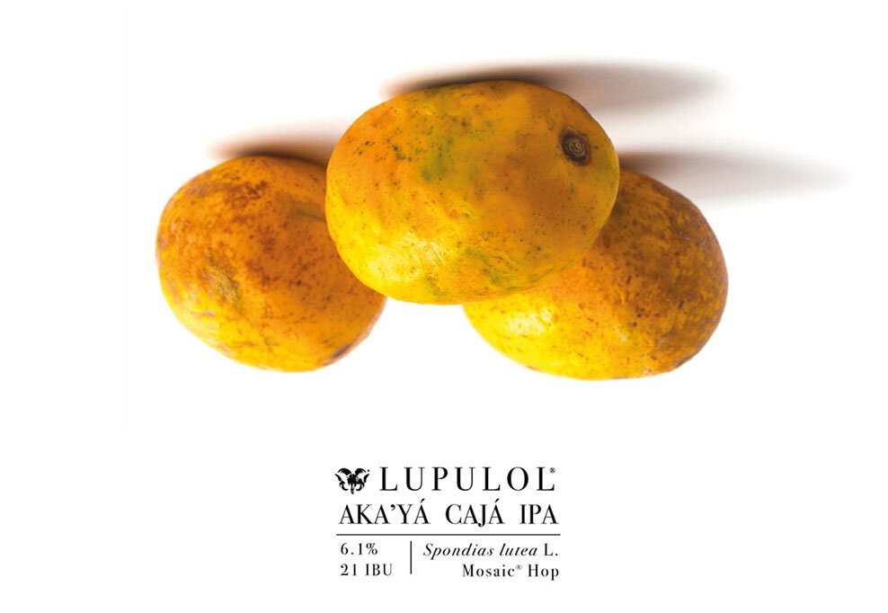 Leia mais sobre o artigo Bodebrown lança cerveja com fruta típica do Nordeste