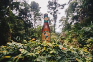 Leia mais sobre o artigo Cerveja Praya lança clube de assinatura com ONG