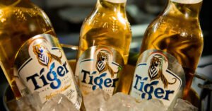 Leia mais sobre o artigo Grupo Heineken lança a cerveja puro malte Tiger no Brasil