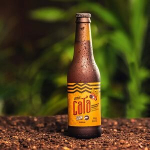 Leia mais sobre o artigo Little Cata, a cerveja colaborativa feita para comemorar o dia da cerveja Brasileira!