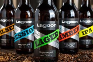 Leia mais sobre o artigo Tem novidade (mas novidade mesmo) no mercado de cervejas artesanais