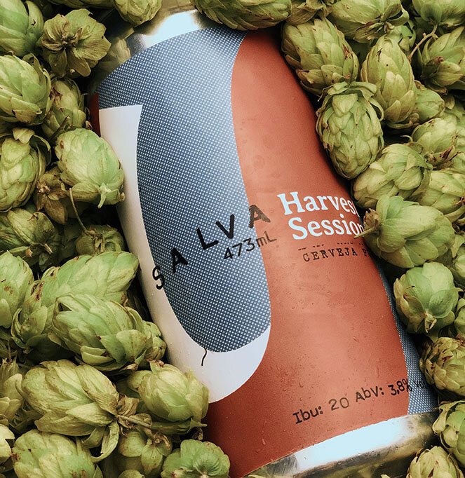 No momento, você está visualizando Salva lança Harvest Session IPA