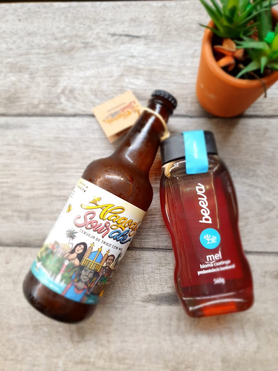 Caatinga Rocks e Beeva Brazil celebram os 204 anos de Alagoas - Você Falou Cerveja - Blog Cervejeiro