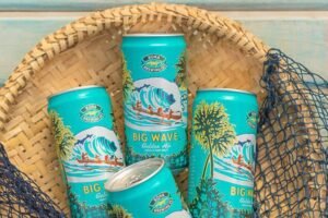 Leia mais sobre o artigo Cerveja Kona apresenta nova versão em lata