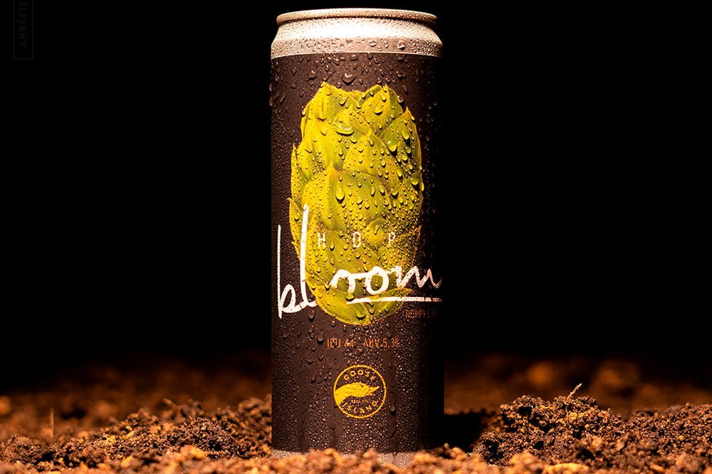 Leia mais sobre o artigo Goose Island lança cerveja Hop Bloom com o lúpulo Ella