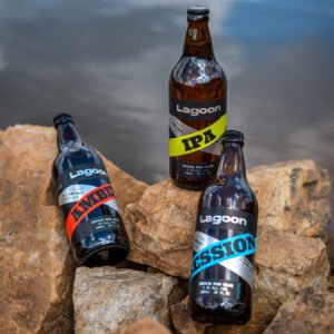 Leia mais sobre o artigo Lagoon expande participação no mercado e fecha parceria com a Casa Olec