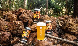 Leia mais sobre o artigo Cruls Cervejaria lança a IPA Cosmos Vórtex