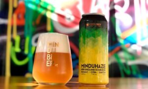 Leia mais sobre o artigo Mindubier lança nova versão da MinduHaze