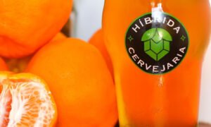 Leia mais sobre o artigo Híbrida Fruits Beers: cerveja a base de tangerina faz sucesso na Bahia