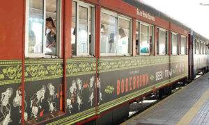 Leia mais sobre o artigo Beer Train: passeio de trem cervejeiro da Bodebrown estreia em SP