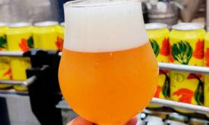 Leia mais sobre o artigo Prussia e Laboratório da Cerveja lançam Saison