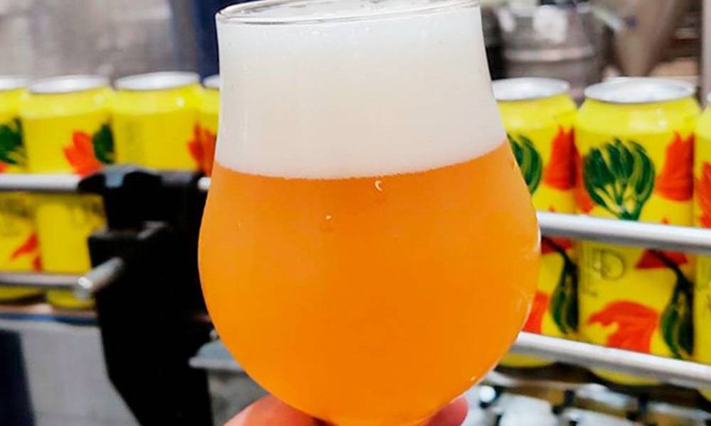 Leia mais sobre o artigo Prussia e Laboratório da Cerveja lançam Saison