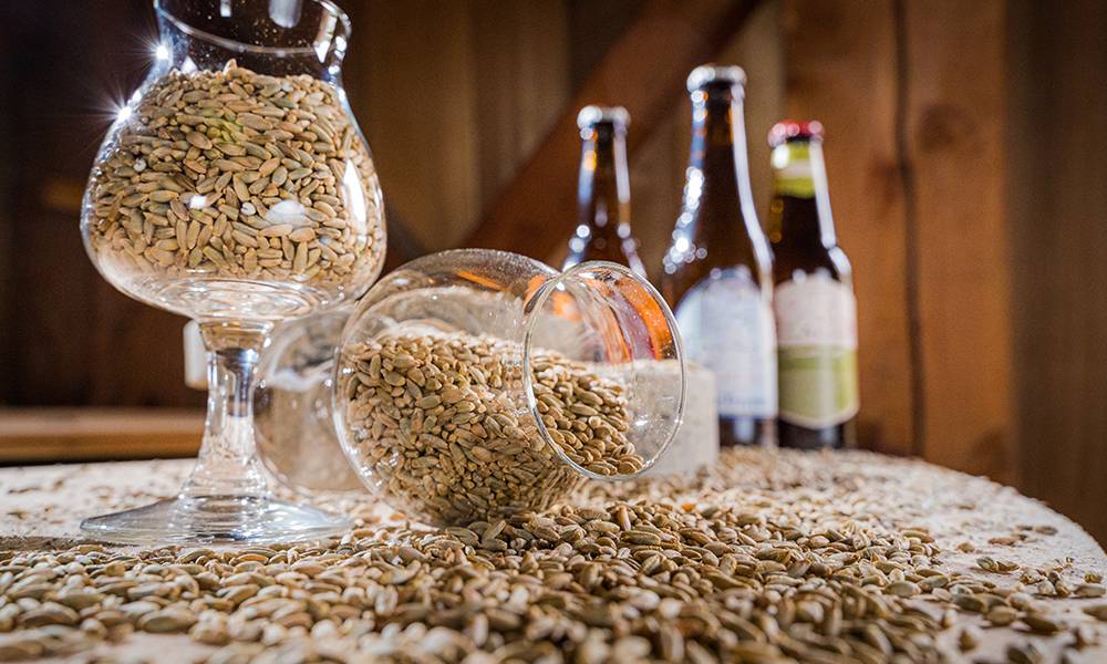 Como fazer cerveja artesanal: um guia passo a passo para os entusiastas cervejeiros - Você Falou Cerveja - Blog Cervejeiro