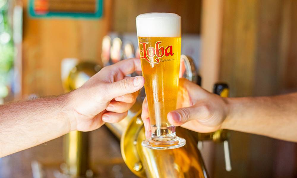 Leia mais sobre o artigo Cerveja artesanal e rock and roll são os ingredientes do projeto Divino Rock