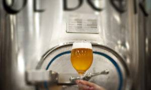 Leia mais sobre o artigo La Kombi na fábrica chega à ØL Beer