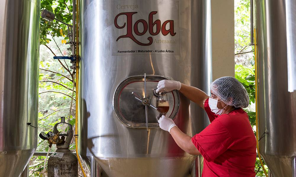 Loba BBQ IPA promete muito lúpulo, rock e carnes nobres - Você Falou Cerveja - Blog Cervejeiro