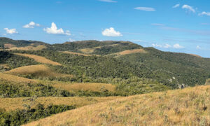 Leia mais sobre o artigo Cerveja Campos do Jordão lança campanha “Nossos Campos, Nossa Essência”