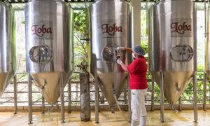 Leia mais sobre o artigo Loba BBQ IPA promete muito lúpulo, rock e carnes nobres