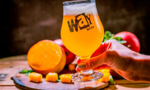 Leia mais sobre o artigo Way Beer lança cerveja de manga
