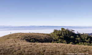 Leia mais sobre o artigo Cartões postais da Cerveja Campos do Jordão ilustram os Campos de Altitude