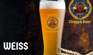 Leia mais sobre o artigo Na Paulista: 2ª Expo Mel Brasil