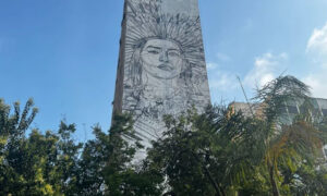 Leia mais sobre o artigo Estrella Galicia realiza intervenção sociocultural no Parque Augusta em SP