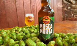 Leia mais sobre o artigo Vemaguet 67 lança Lager com lúpulo Mantiqueira em flor