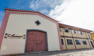 Leia mais sobre o artigo Cervejaria Uaimií comemora 10 Anos com festa gratuita na Praça JK