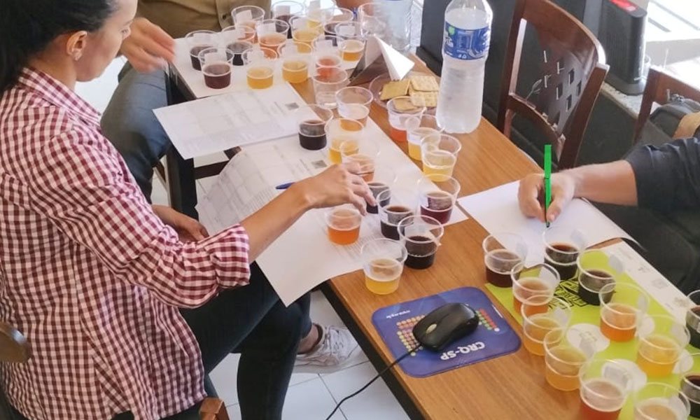 Leia mais sobre o artigo Abracerva irá premiar as melhores cervejas do país na final da 4ª Copa Cerveja Brasil