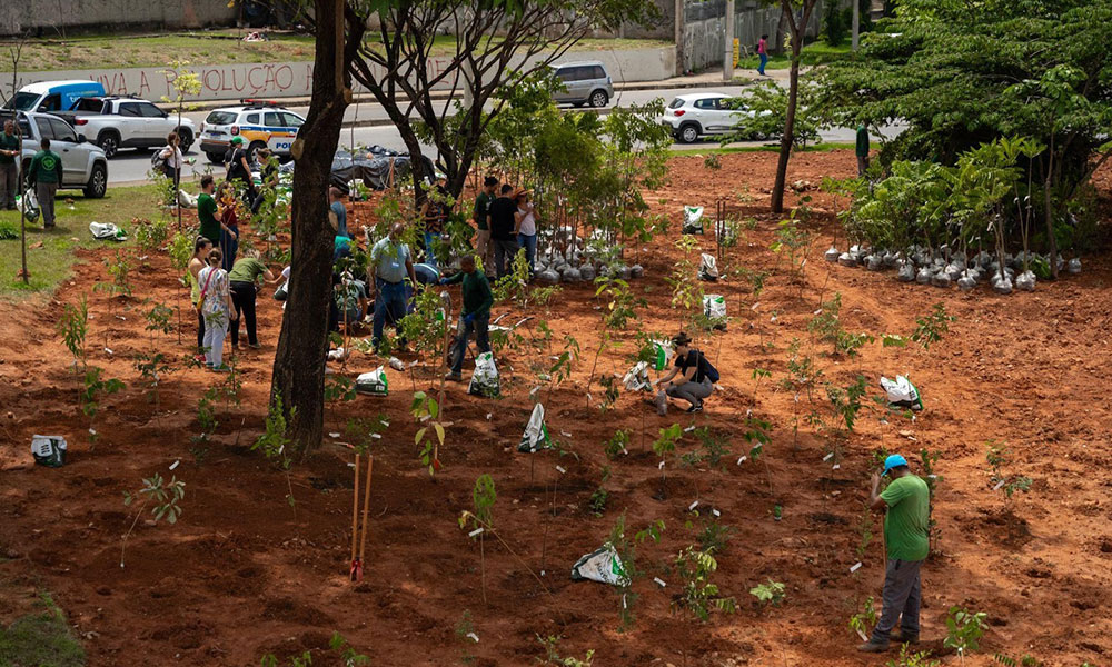 No momento, você está visualizando Heineken inaugura primeira Microfloresta em Belo Horizonte