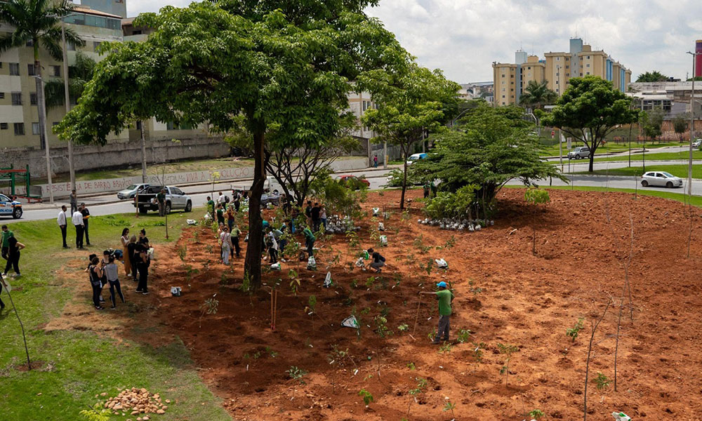 Heineken inaugura primeira Microfloresta em Belo Horizonte - Você Falou Cerveja - Blog Cervejeiro