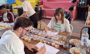 Leia mais sobre o artigo Abracerva realiza em São Paulo road show com festival cervejeiro
