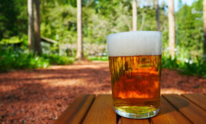 Leia mais sobre o artigo O copo certo para cada cerveja: descubra por que faz diferença