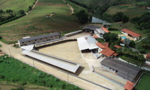 Leia mais sobre o artigo Cervejaria Loba traz show de Falamansa em seu Festival de Inverno