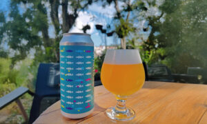 Leia mais sobre o artigo Blackfin Cria Rótulos Exclusivos para Pupus e Fugu em Paraty.