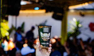 Leia mais sobre o artigo Festival Brinde ao Malte reúne clássicos do rock e cerveja artesanal