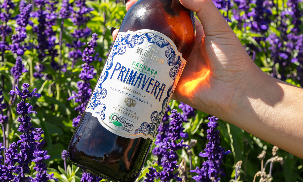 Primavera Weber Haus: Drinks Refrescantes e Autorais - Você Falou Cerveja - Blog Cervejeiro