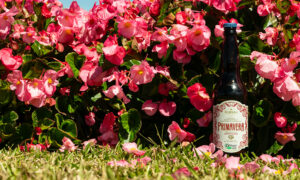 Leia mais sobre o artigo Primavera Weber Haus: Drinks Refrescantes e Autorais.